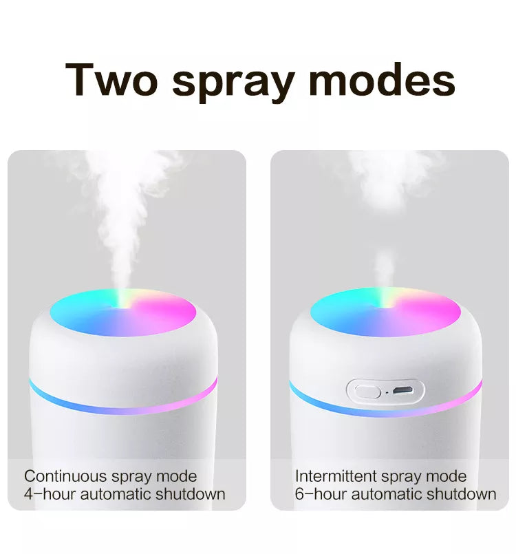 H2O Humidifier