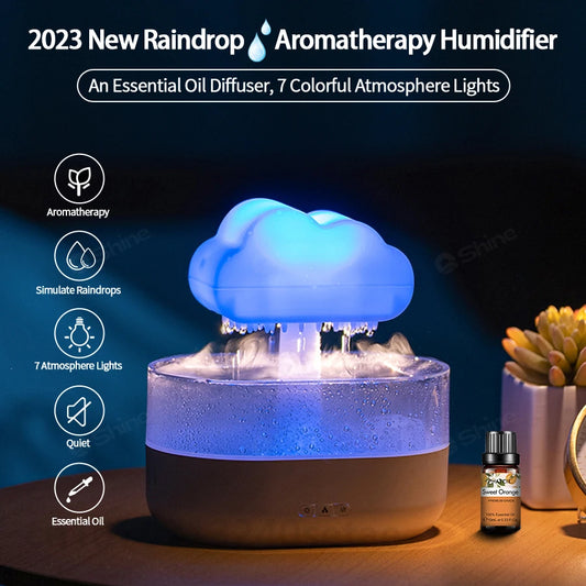 Rain Cloud Humidifier