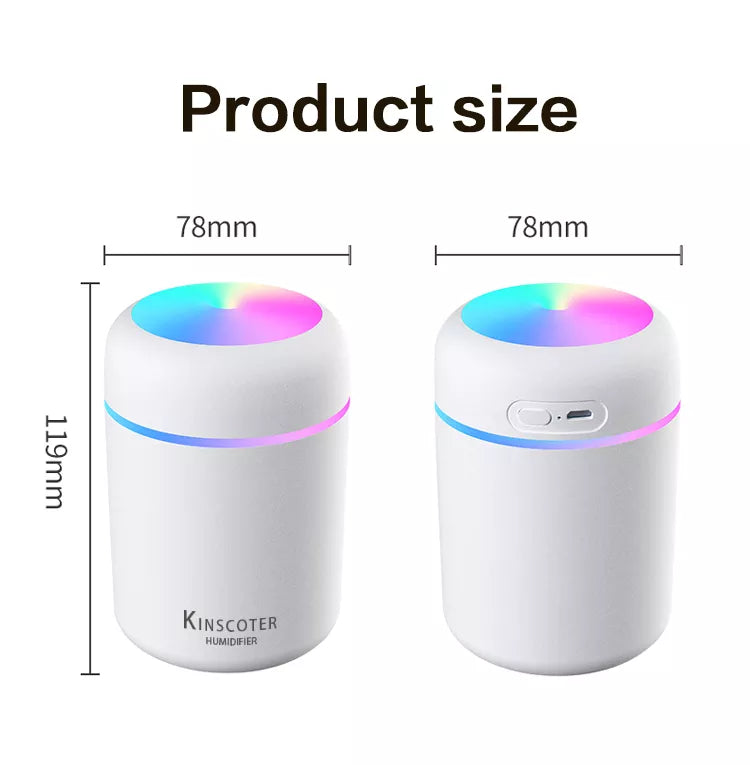 H2O Humidifier