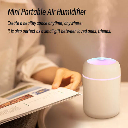 H2O Humidifier